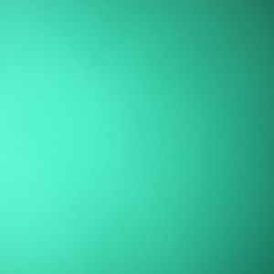 Meet your Posher, Lucy